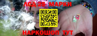 ешки Новозыбков