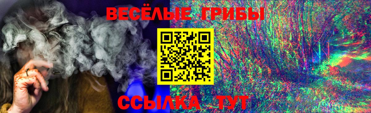 Галлюциногенные грибы Psilocybine cubensis Сухой Лог
