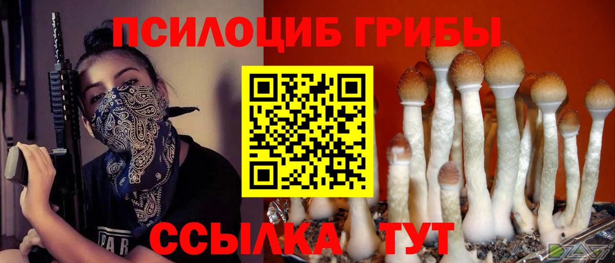 Галлюциногенные грибы MAGIC MUSHROOMS  Вход с VPN  Сухой Лог  Псилоцибиновые грибы мухоморы 