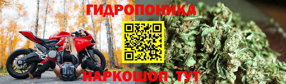 Марихуана White Widow Сухой Лог